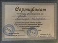 Сертификат "Традиционные и инновационные формы и методы духовно нравственного воспитания детей