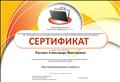 Свидетельство о создании сайта нетфолио